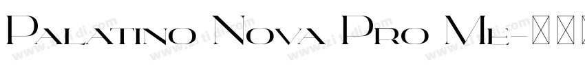 Palatino Nova Pro Me字体转换 Palatino Nova Pro Me字体转换